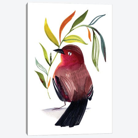 Red Bird Canvas Print #SWZ66} by Sweet Omens Canvas Art