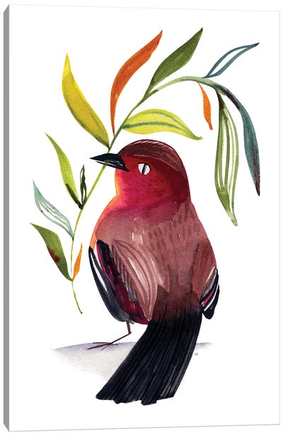 Red Bird Canvas Art Print - Sweet Omens