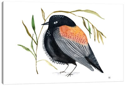 Black Bird Canvas Art Print - Sweet Omens