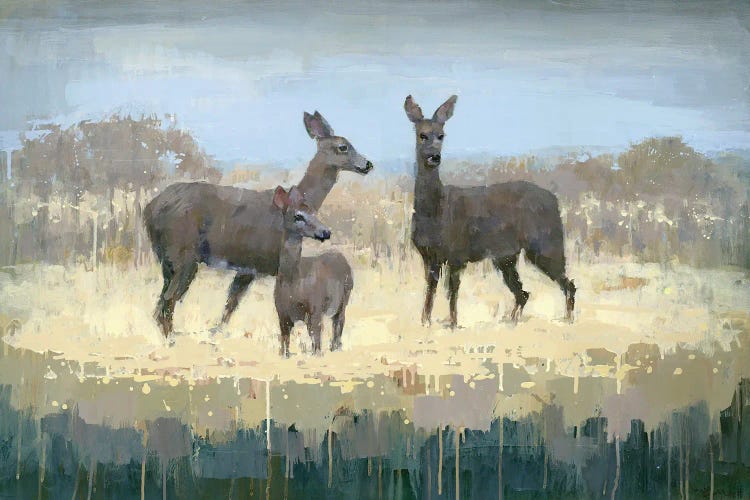 Deer Family in a Field of Yellow