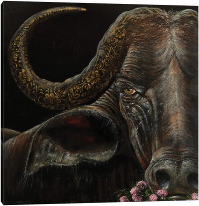 Buffalo Canvas Art Print - Embellished Animals