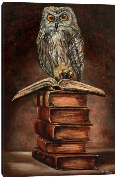 Knowledge Is Power Canvas Art Print - Owl Art