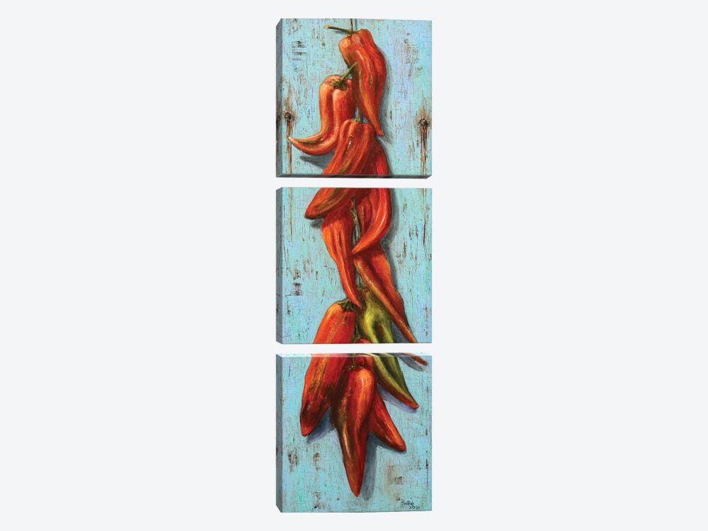 Hot Pippers by Sergey Bolshakov 3-piece Canvas Wall Art