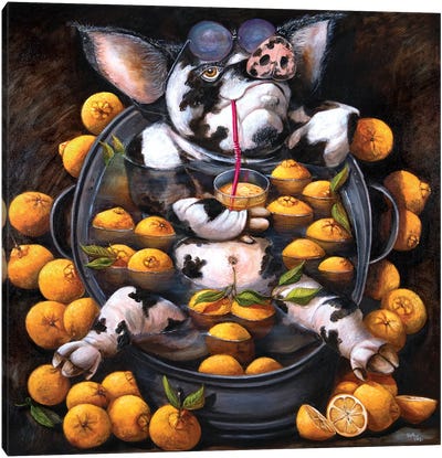Pig In Oranges Or The State Of Zen Canvas Art Print - Orange Art