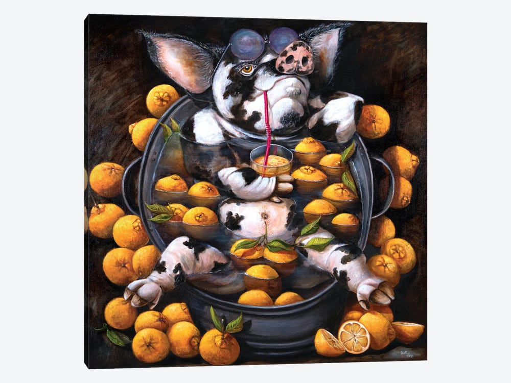 Pig In Oranges Or The State Of Zen by Sergey Bolshakov 1-piece Canvas Print