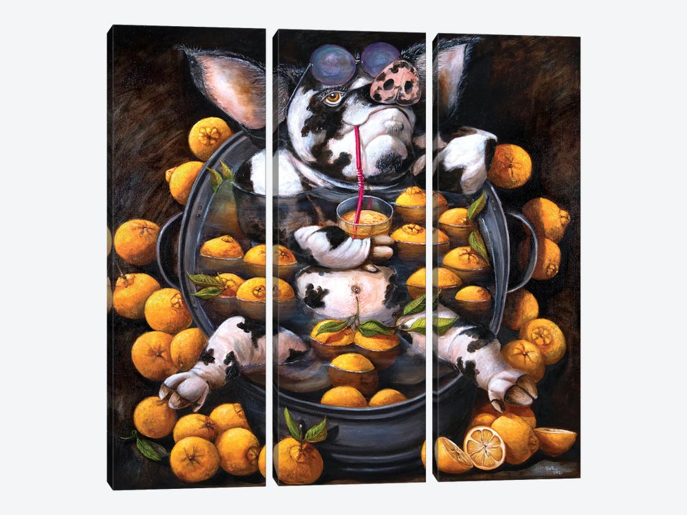 Pig In Oranges Or The State Of Zen by Sergey Bolshakov 3-piece Canvas Print