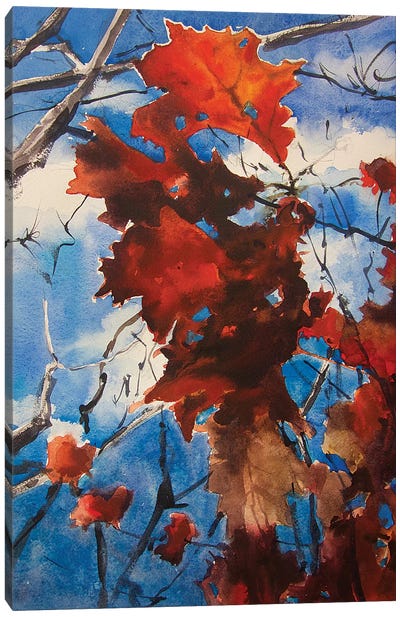 Flame Tree Canvas Art Print - Color Palettes