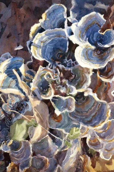 Intricate Watercolors: Forest Floor by Sarah Yeoman