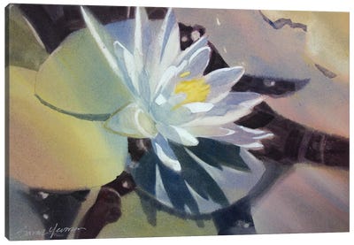 Light Lily Canvas Art Print - Color Palettes