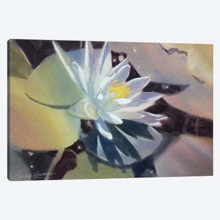 Light Lily Canvas Print #SYE21} by Sarah Yeoman Canvas Art Print