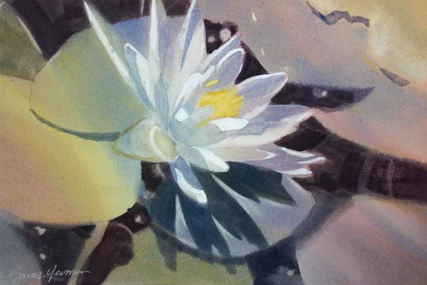 Tea Garden: Light Lily by Sarah Yeoman