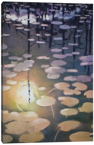 Night Lily Canvas Art Print - Calm Art