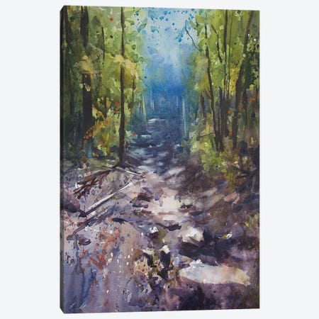Path III Canvas Print #SYE28} by Sarah Yeoman Art Print