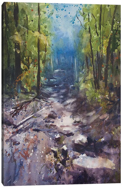 Path III Canvas Art Print - Sarah Yeoman