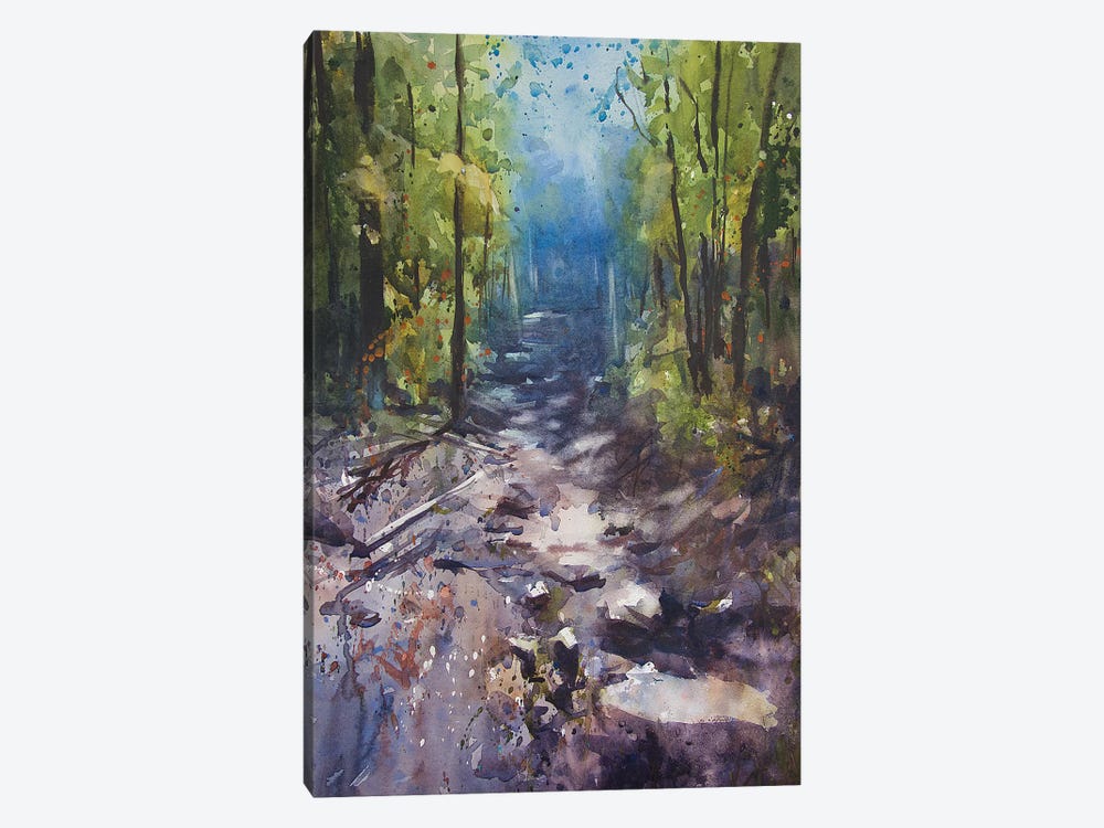 Path III by Sarah Yeoman 1-piece Canvas Art Print
