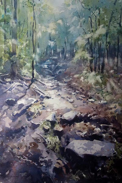 The Path by Sarah Yeoman canvas print