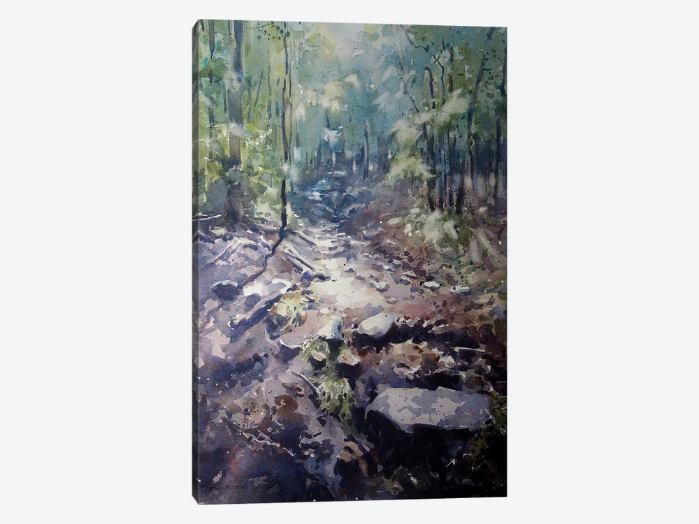 The Path by Sarah Yeoman 1-piece Canvas Print
