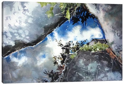 The Shape Of Water Canvas Art Print - Sarah Yeoman