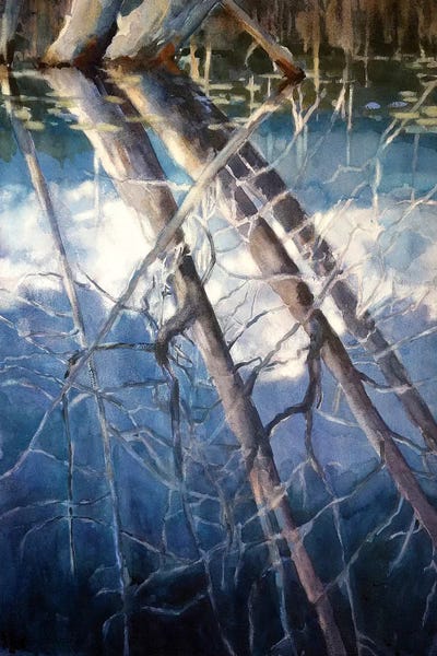 Upon Reflection by Sarah Yeoman art print