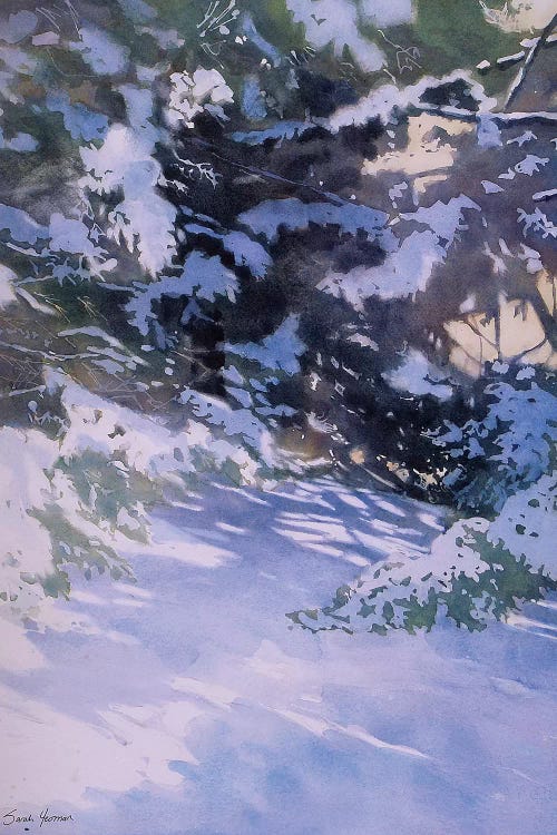 Winter Of The White Pines by Sarah Yeoman wall art