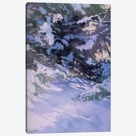 Winter Of The White Pines Canvas Print #SYE51} by Sarah Yeoman Canvas Artwork