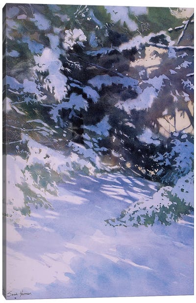 Winter Of The White Pines Canvas Art Print - Sarah Yeoman