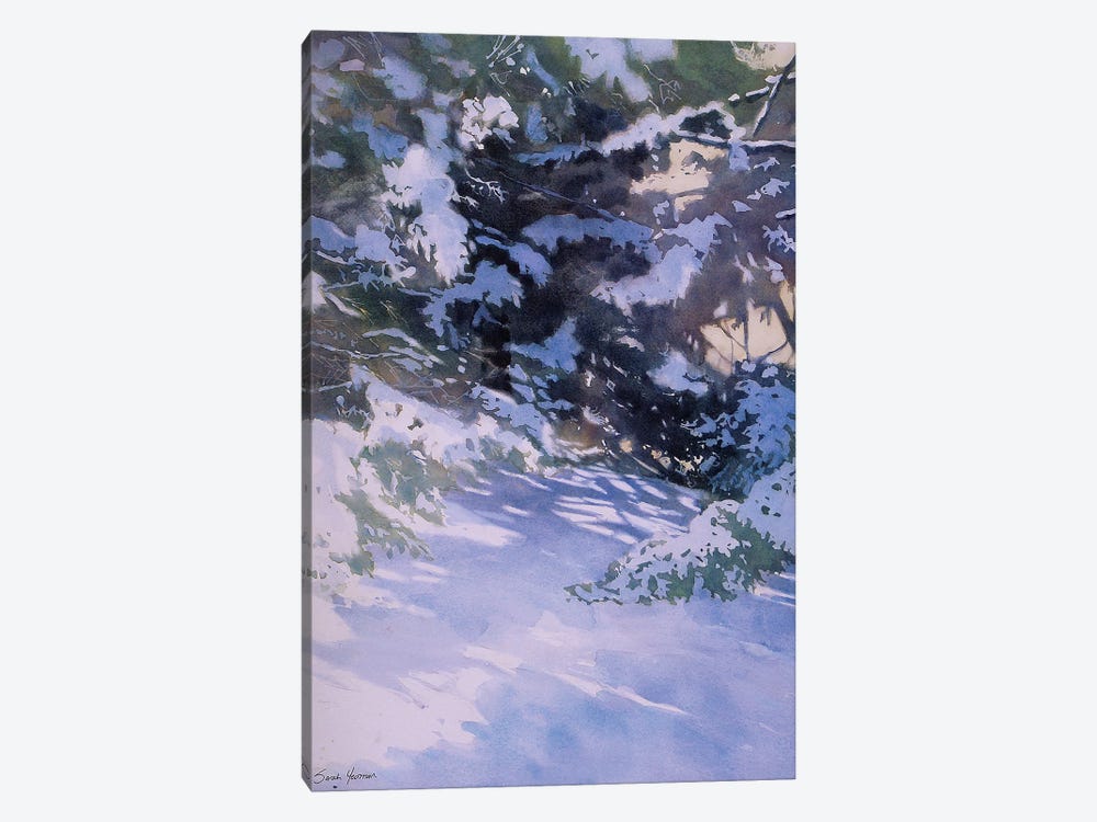 Winter Of The White Pines by Sarah Yeoman 1-piece Canvas Art Print