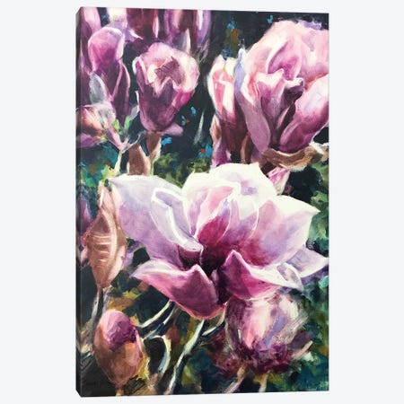 Magnolias Canvas Print #SYE58} by Sarah Yeoman Canvas Artwork