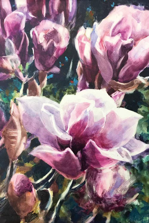 Magnolias