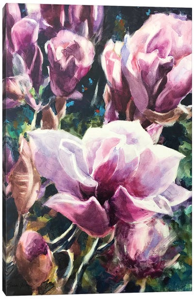 Magnolias Canvas Art Print - Sarah Yeoman