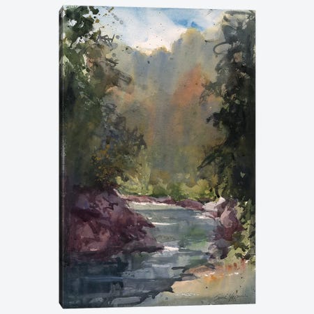 River In Tuscany Canvas Print #SYE68} by Sarah Yeoman Canvas Art Print
