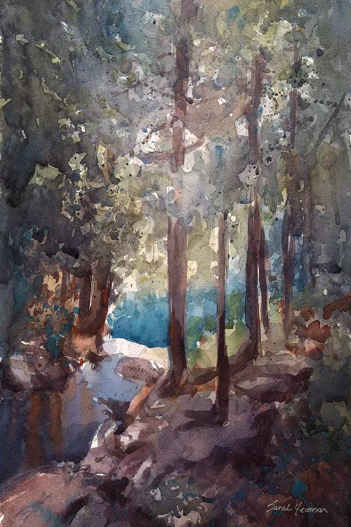 Top Of The Falls Adirondacks by Sarah Yeoman wall art