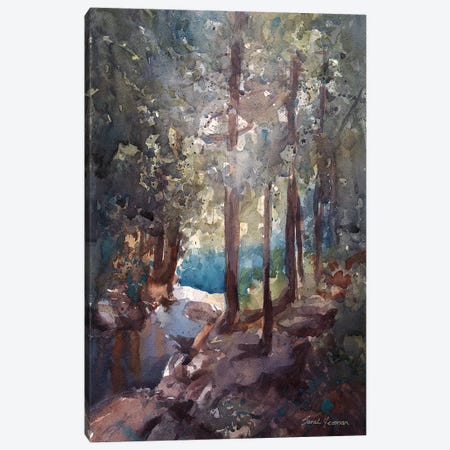 Top Of The Falls Adirondacks Canvas Print #SYE69} by Sarah Yeoman Canvas Art Print