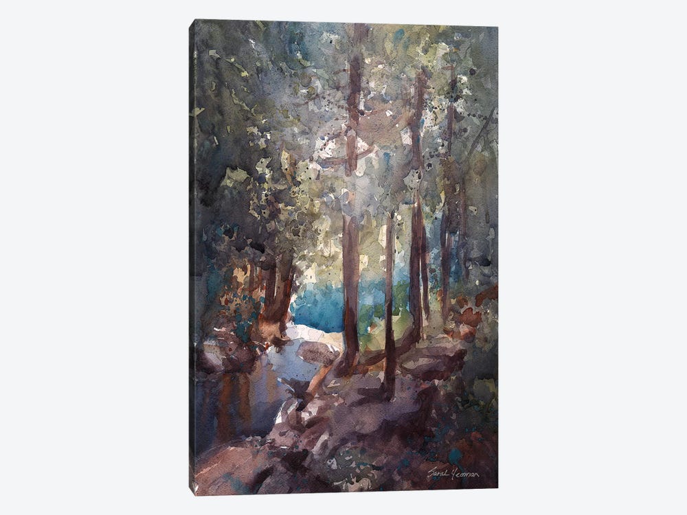 Top Of The Falls Adirondacks by Sarah Yeoman 1-piece Canvas Art