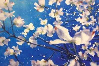 Dogwood And Wind by Sarah Yeoman art print