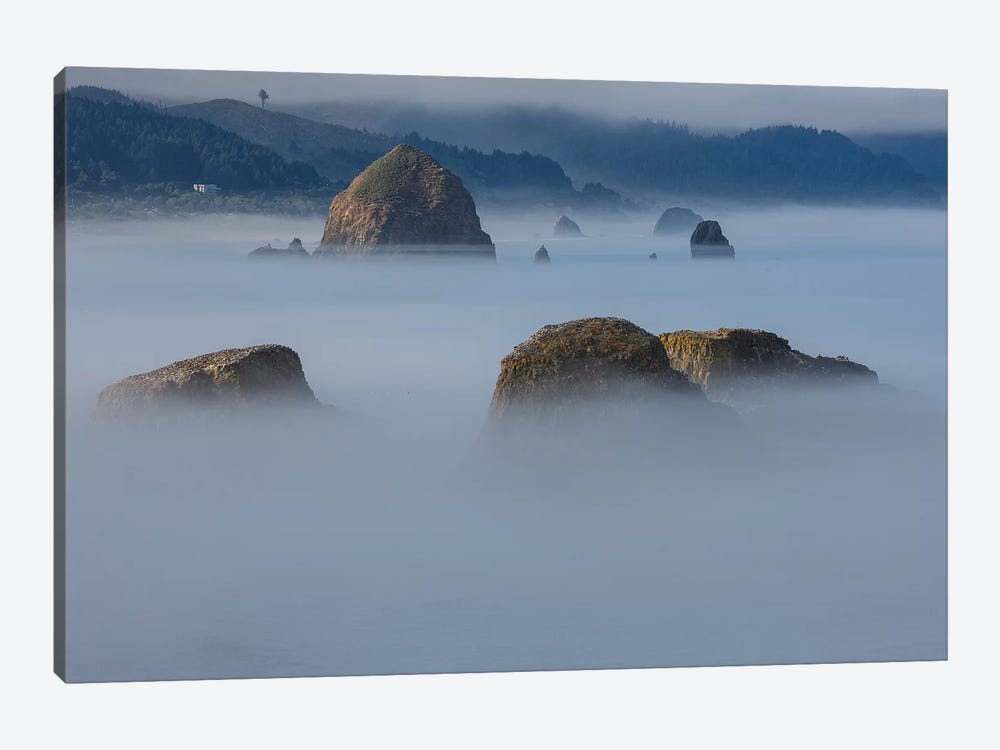 View of Cannon Beach with sea stacks with rising fog from Ecola State Park by Sylvia Gulin 1-piece Canvas Wall Art