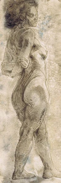Samira Yanushkova: Erotic Art Nude Art 1871 by Samira Yanushkova
