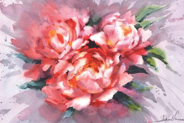 Peonies: Splash Of Flowers by Samira Yanushkova