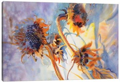 Sunflowers Canvas Art Print - Samira Yanushkova