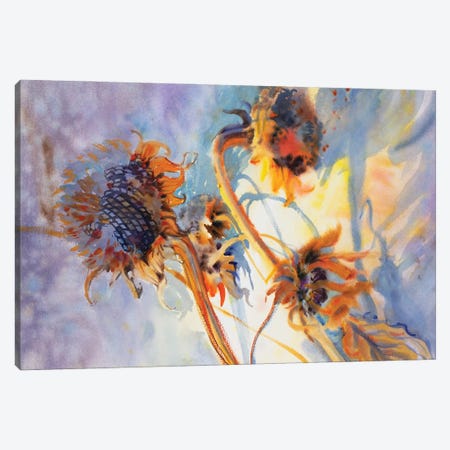 Sunflowers Canvas Print #SYH160} by Samira Yanushkova Art Print