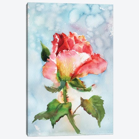 Beautiful Rose Canvas Print #SYH162} by Samira Yanushkova Canvas Print