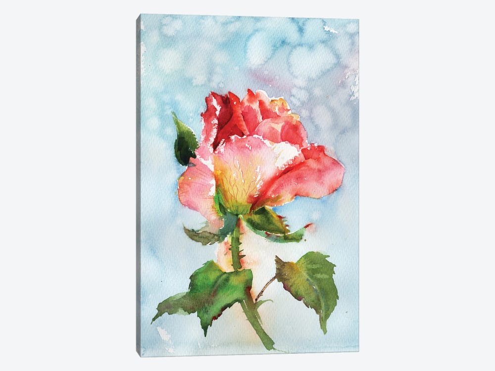 Beautiful Rose by Samira Yanushkova 1-piece Canvas Print
