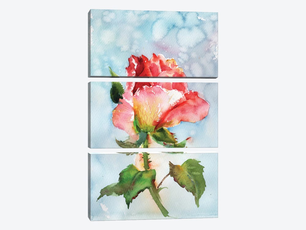 Beautiful Rose by Samira Yanushkova 3-piece Art Print
