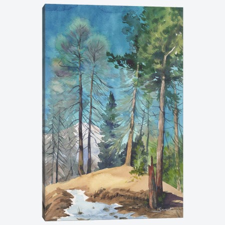 Pine Forest Canvas Print #SYH16} by Samira Yanushkova Canvas Artwork