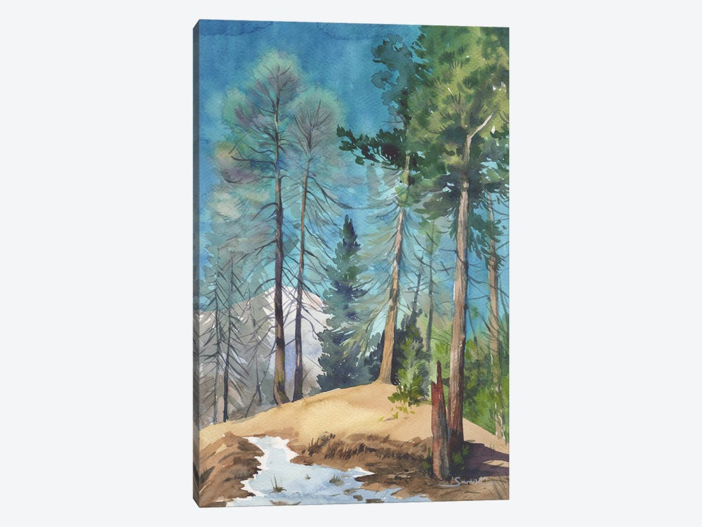 Pine Forest by Samira Yanushkova 1-piece Canvas Art Print