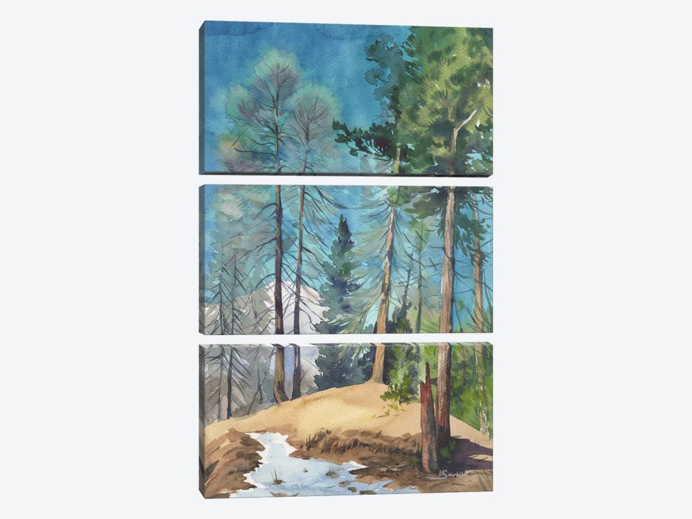 Pine Forest by Samira Yanushkova 3-piece Art Print