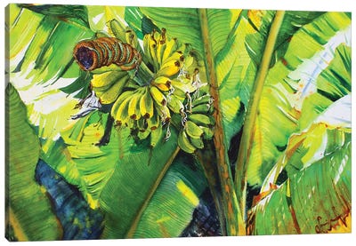 Tropical Fruit Canvas Art Print - Samira Yanushkova