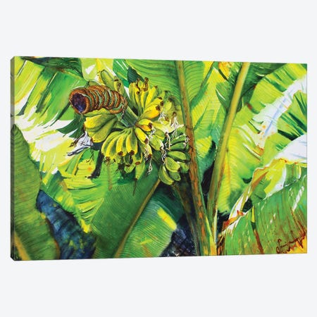Tropical Fruit Canvas Print #SYH188} by Samira Yanushkova Canvas Art Print