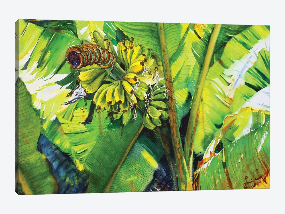 Tropical Fruit by Samira Yanushkova 1-piece Canvas Art Print