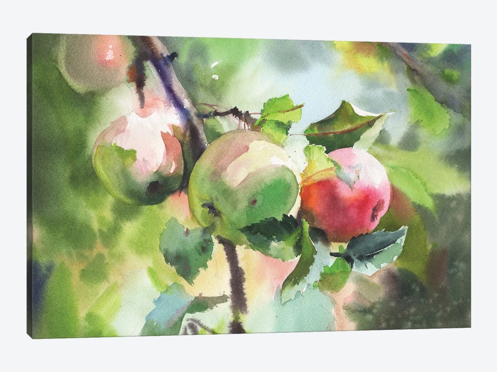 Red And Green Apples by Samira Yanushkova 1-piece Canvas Art